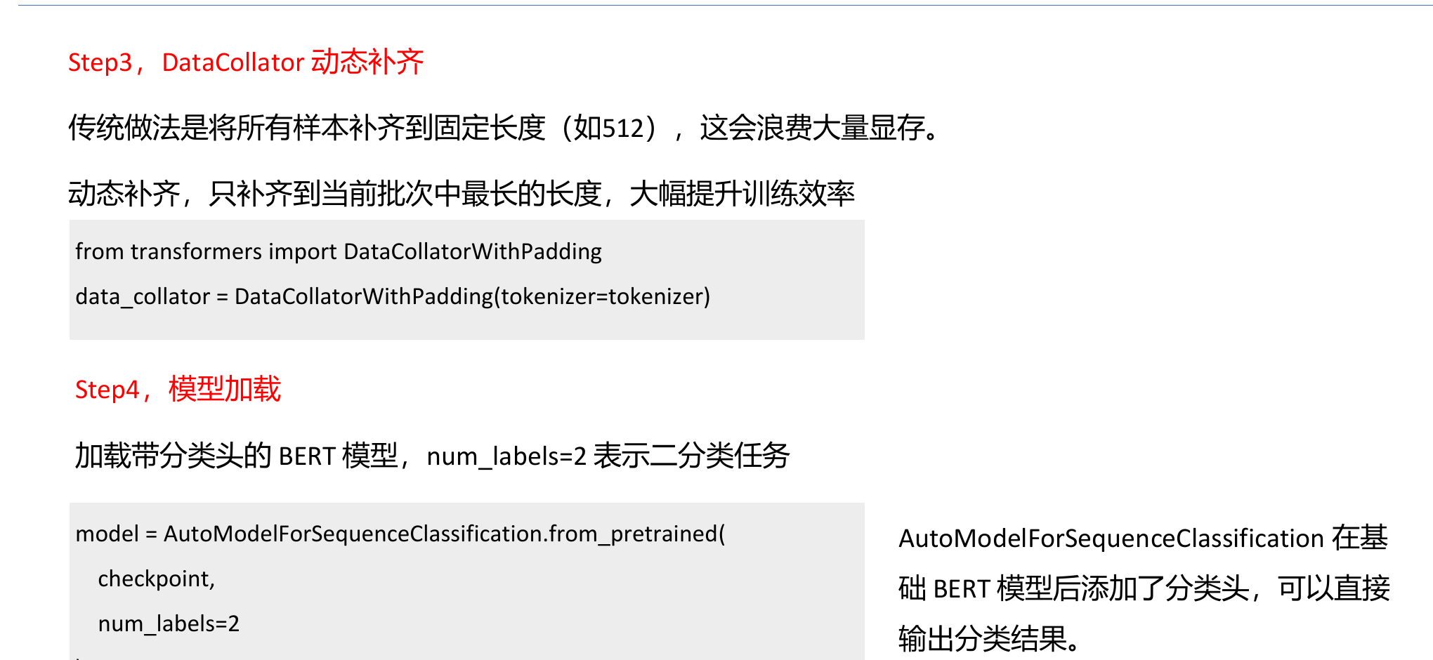 DataCollator 动态补齐与分类头的实现要点